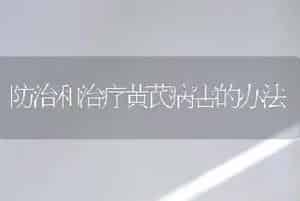 防治和治疗黄芪病害的办法