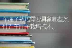 车厘子栽培需要具备哪些条件？车厘子栽培技术。