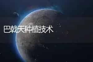 巴戟天种植技术