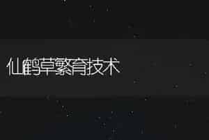 仙鹤草繁育技术