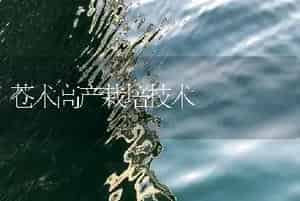 苍术高产栽培技术