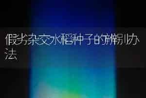 假劣杂交水稻种子的辨别办法