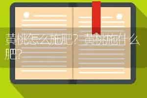 黄桃怎么施肥？黄桃施什么肥？