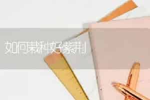 当归怎么种？当归的栽培办法
