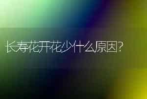 玉露养殖方法玉露怎么养？