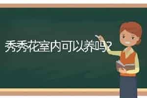 秀秀花室内可以养吗？