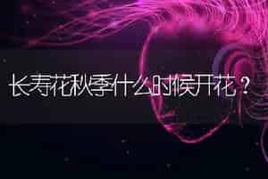 长寿花秋季什么时候开花？