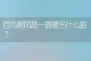 百鸟朝凤是一首著名什么曲？
