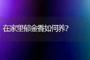 典雅之舞植物掉叶怎么办？