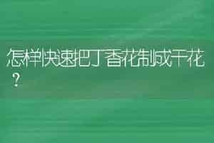 怎样快速把丁香花制成干花？