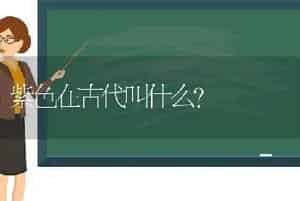 紫色在古代叫什么？