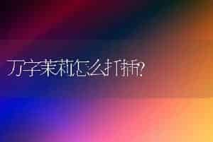 不久前副词？