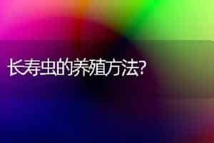 长寿虫的养殖方法？