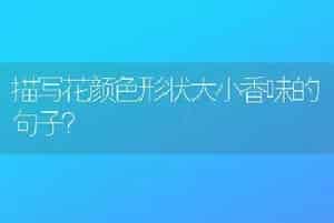 描写花颜色形状大小香味的句子？