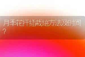月季花扦插栽培方法及时间？