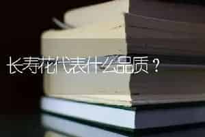 长寿花代表什么品质？