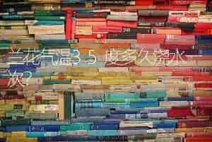 勿忘我的另一个名字？