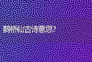鹊桥仙古诗意思？