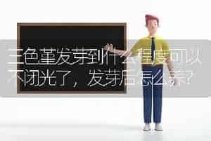 三色堇发芽到什么程度可以不闭光了，发芽后怎么养？