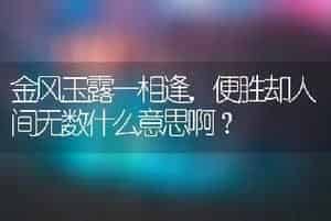 金风玉露一相逢，便胜却人间无数什么意思啊？