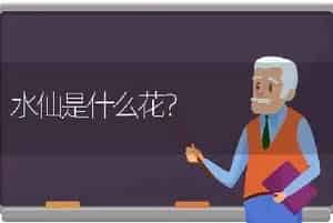 芦荟的寿命是几年？