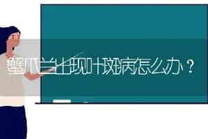 蟹爪兰出现叶斑病怎么办？