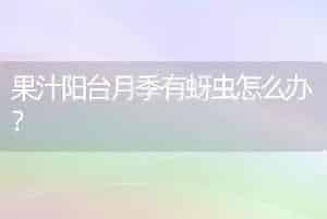 最美多肉植物排行榜？