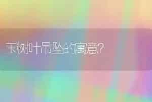 玉树叶吊坠的寓意？