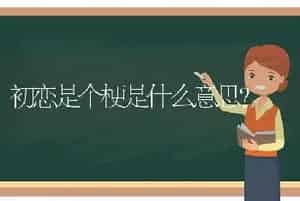 金枝玉叶有几种颜色品种？