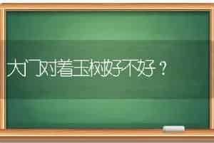 大门对着玉树好不好？