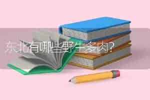 东北有哪些野生多肉？