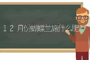 十样花都是什么花？