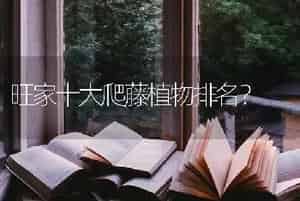 旺家十大爬藤植物排名？