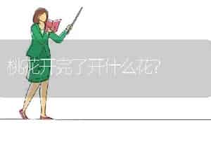 蟹爪兰嫁接仙人掌标准距离？