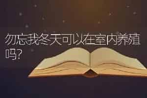 勿忘我冬天可以在室内养殖吗？