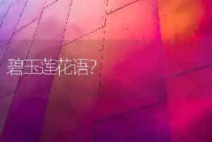 碧玉莲花语？