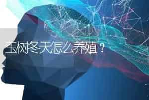 玉树冬天怎么养殖？