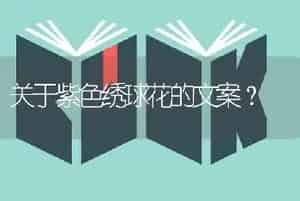 关于紫色绣球花的文案？