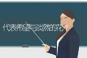 代表希望与淡然的花？