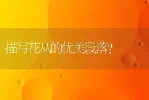 描写花丛的优美段落？