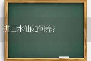 蝴蝶梅好养吗？