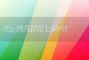 勿忘我花都是七朵吗？