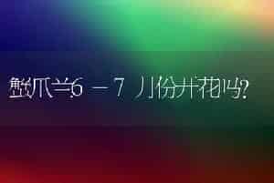 蟹爪兰6-7月份开花吗？