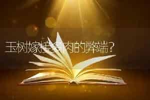 玉树嫁接多肉的弊端？