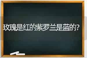 玫瑰是红的紫罗兰是蓝的？