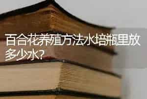带枝的多肉观音莲咋养活？