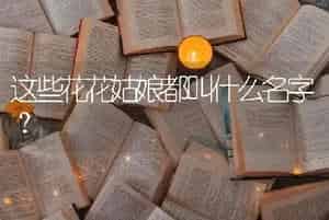 雪莲果种类？