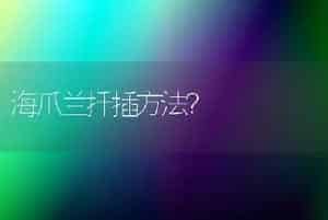 海爪兰扦插方法？