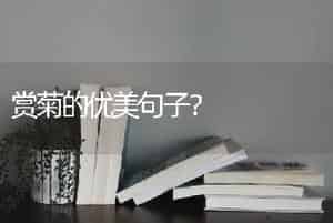 雅乐之华花语？