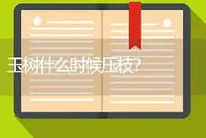 玉树什么时候压枝？